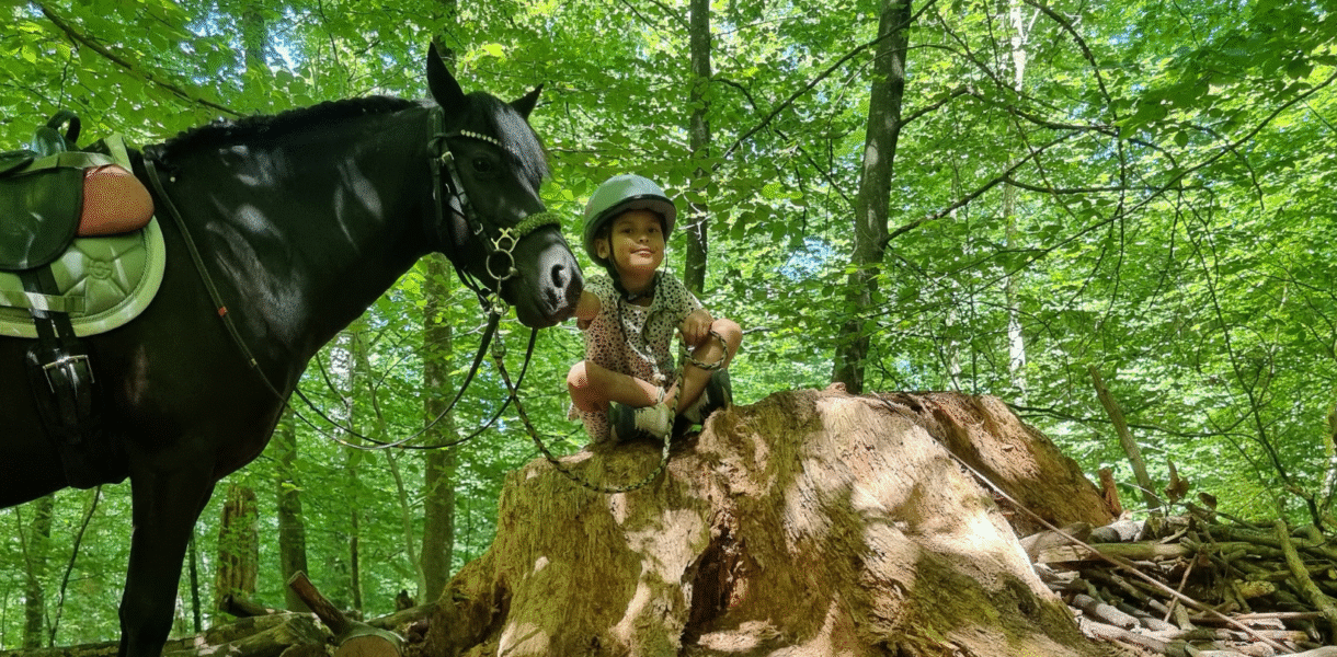 Reiterlebnis für Kinder in Uster , Zürich