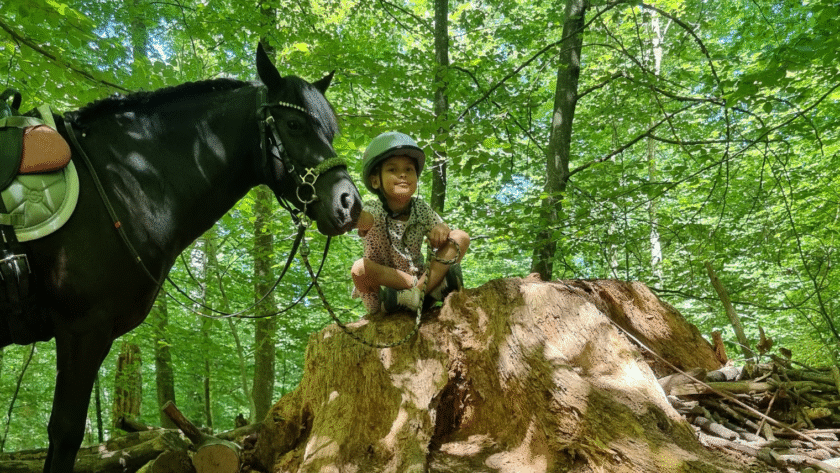 Reiterlebnis für Kinder in Uster , Zürich