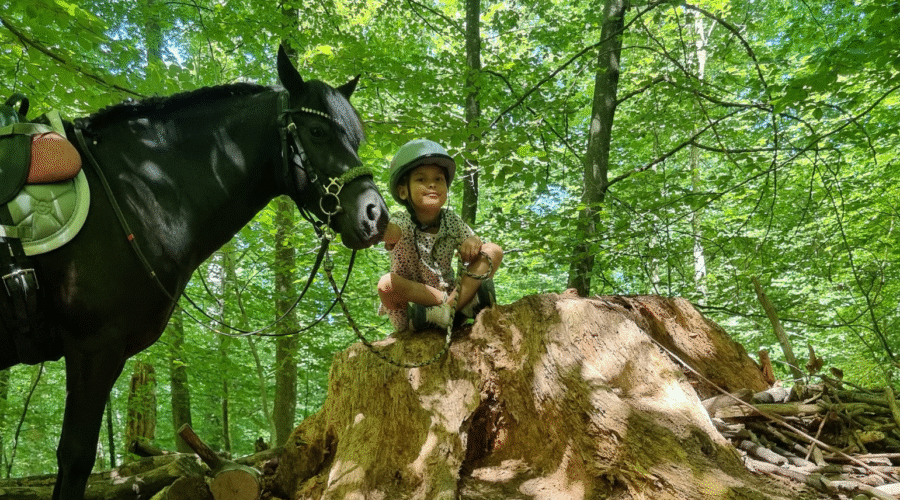 Reiterlebnis für Kinder in Uster , Zürich